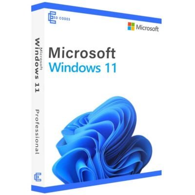 Microsoft Windows 11 Pro (PC)