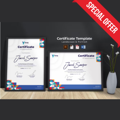 Professional Certificate Template 2024